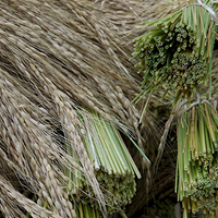 Photo de Bali - Autour de Munduk